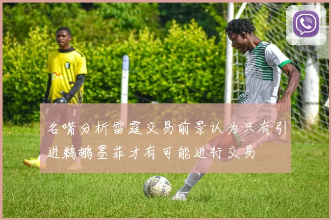 名嘴分析雷霆交易前景认为只有引进鹈鹕墨菲才有可能进行交易